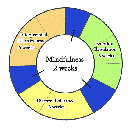 what are the six main points of dialectical behavior therapy San Diego