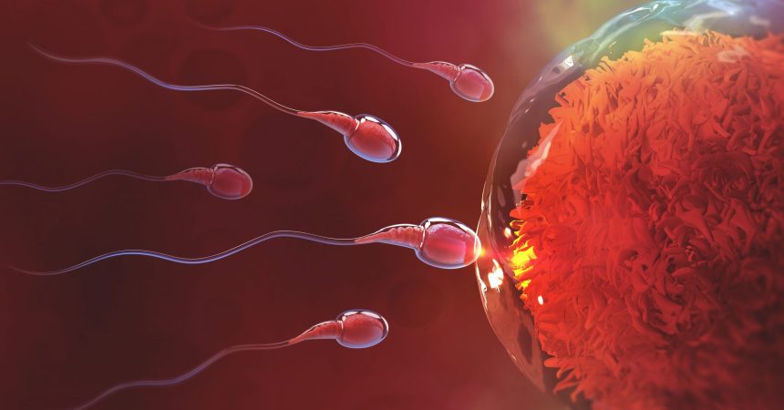 Does alcohol affect male fertility?